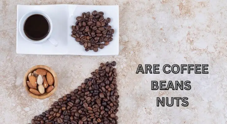 Are Coffee Beans Nuts