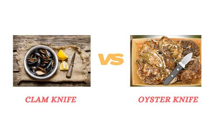 Clam Knife Vs Oyster Knife