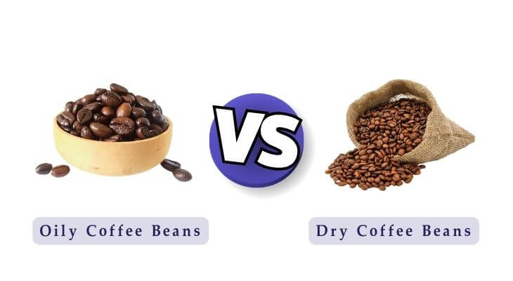 Oily Coffee Beans Vs Dry
